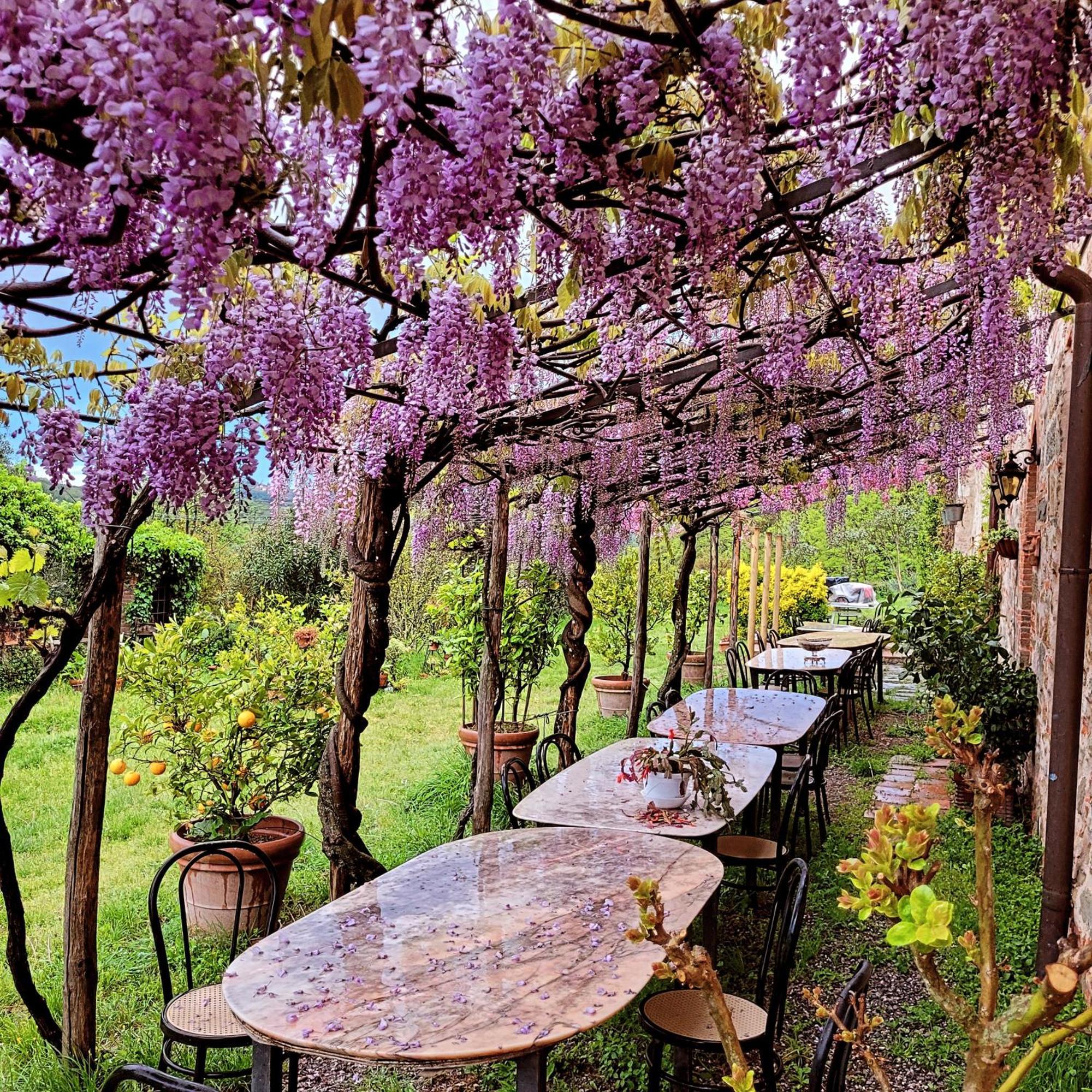 Agriturismo I Pitti Serravalle Pistoiese Exterior foto