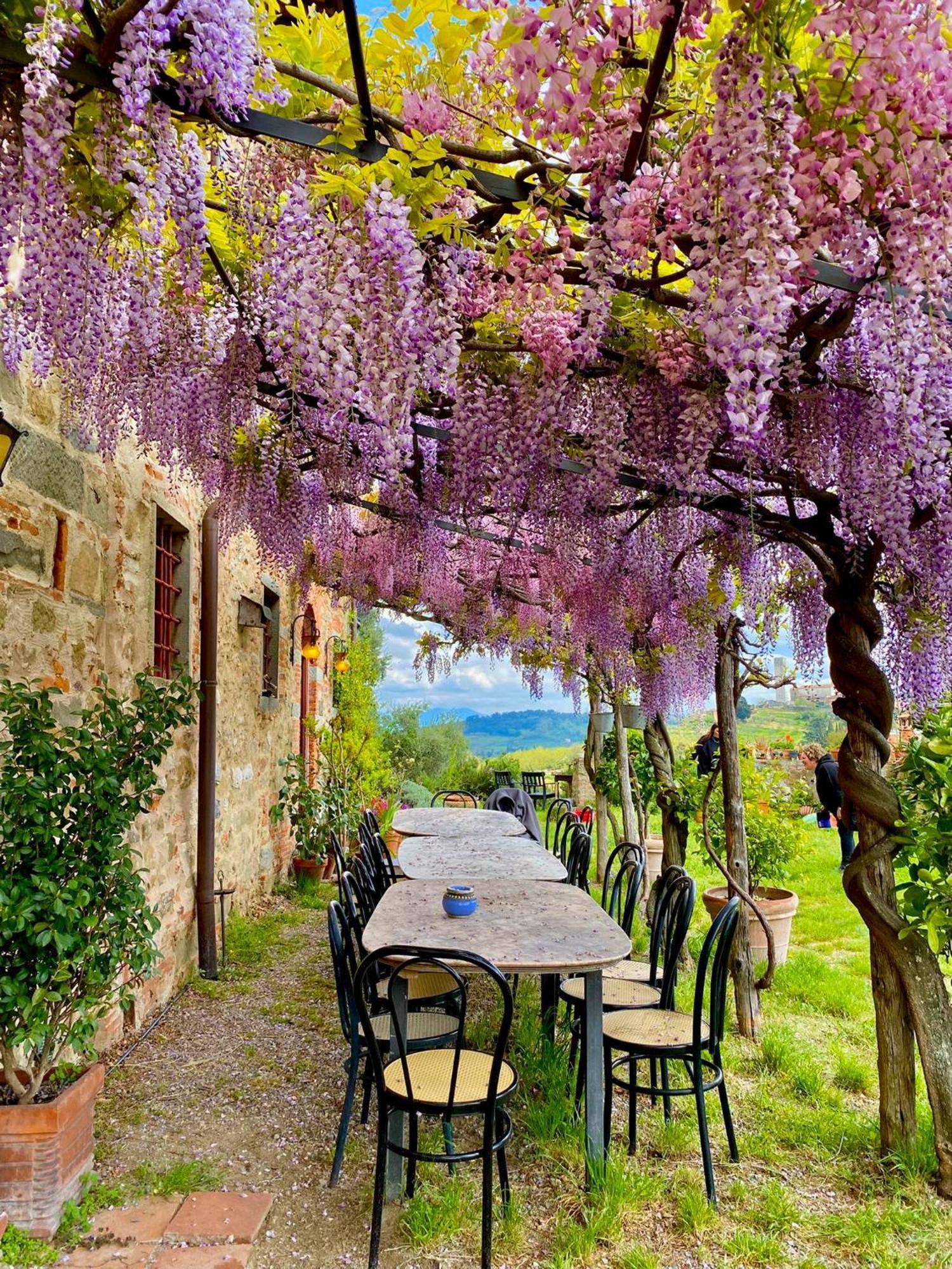 Agriturismo I Pitti Serravalle Pistoiese Exterior foto