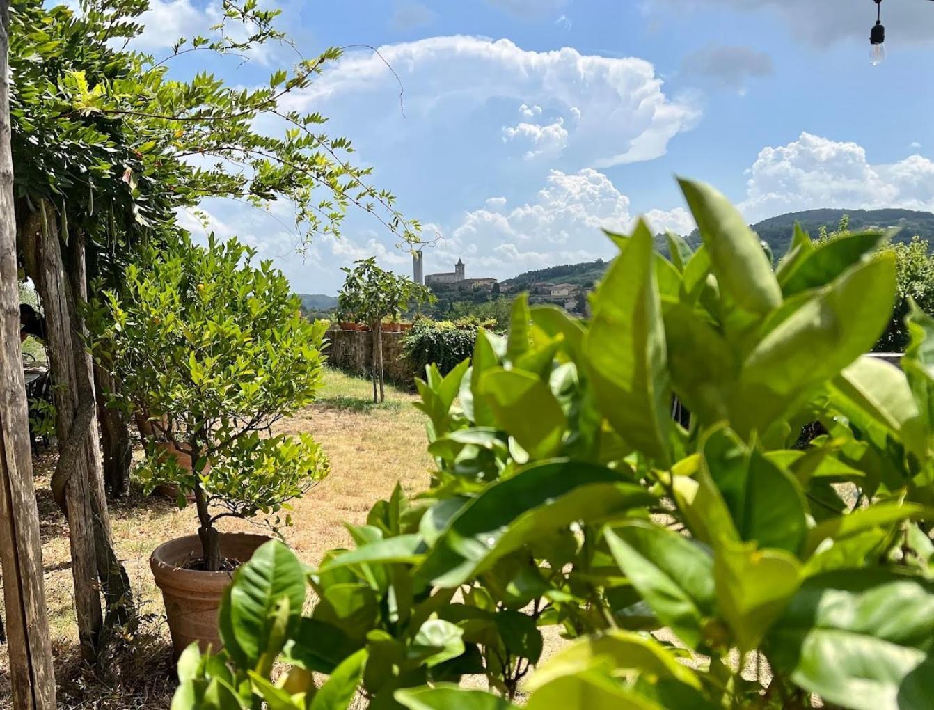 Agriturismo I Pitti Serravalle Pistoiese Exterior foto